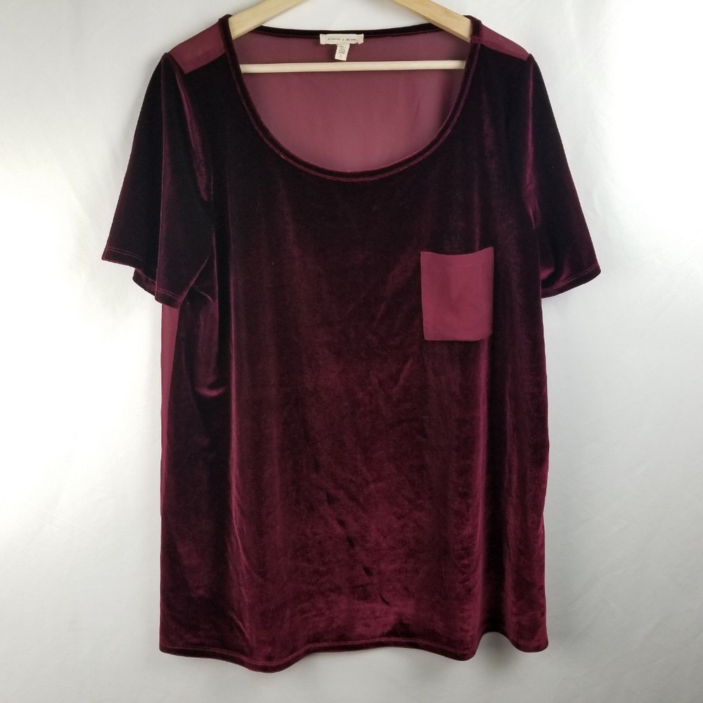 Silence + Noise Velour Top with Sheer Back